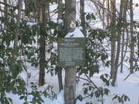  2013-02-10 14.29.58.JPG 